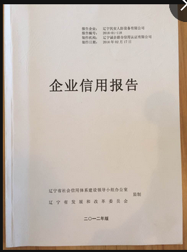 企業(yè)信用報告